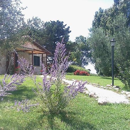 Casale Dinelli Villa Tarquinia Værelse billede