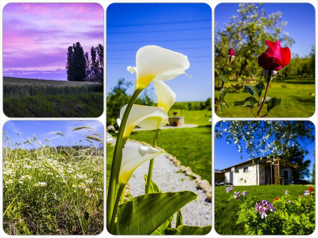 Casale Dinelli Villa Tarquinia Eksteriør billede