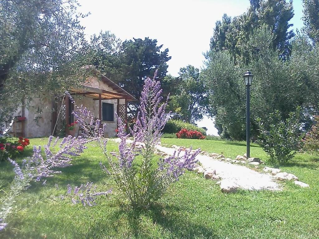 Casale Dinelli Villa Tarquinia Værelse billede