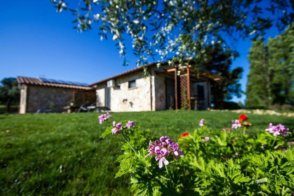 Casale Dinelli Villa Tarquinia Eksteriør billede