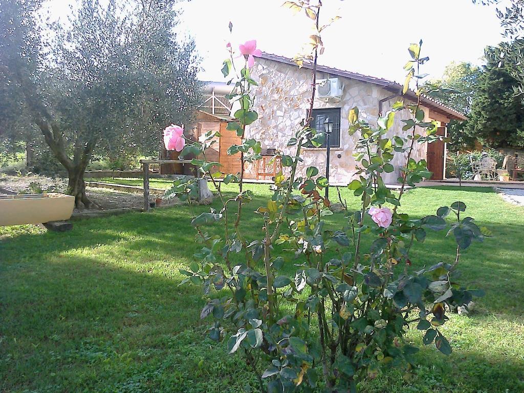 Casale Dinelli Villa Tarquinia Værelse billede