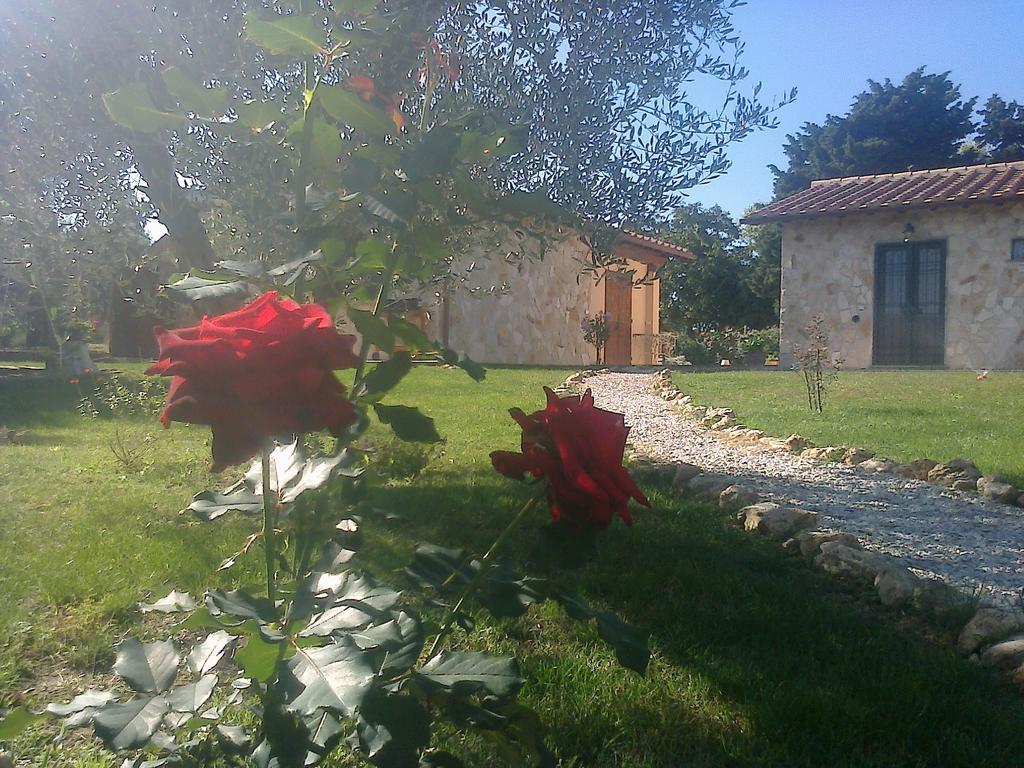 Casale Dinelli Villa Tarquinia Værelse billede
