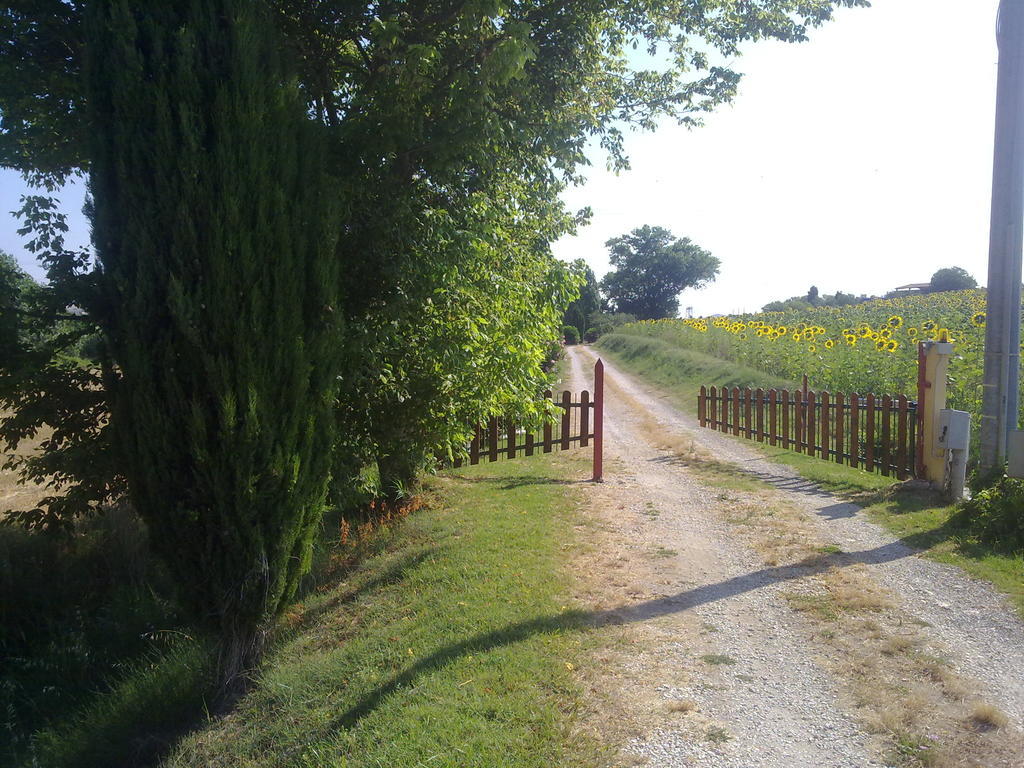 Casale Dinelli Villa Tarquinia Eksteriør billede