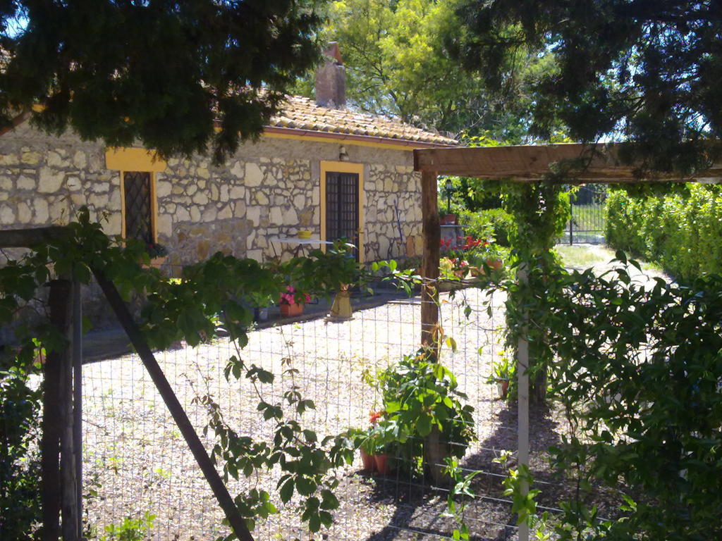 Casale Dinelli Villa Tarquinia Værelse billede