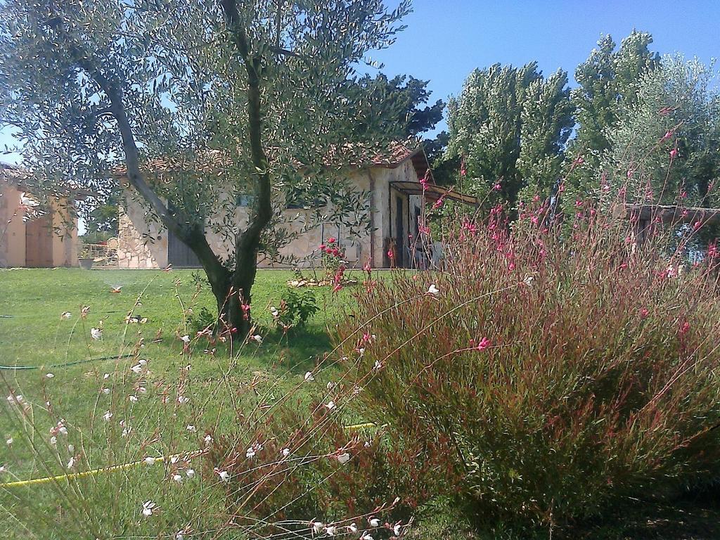 Casale Dinelli Villa Tarquinia Værelse billede
